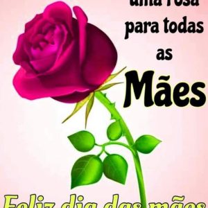 AFRAPESP DESEJA UM FELIZ DIA DAS MÃES