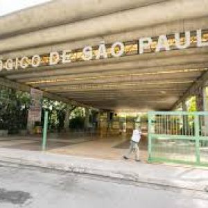 ZOOLÓGICO DE SÃO PAULO – VEJA COMO VISITAR